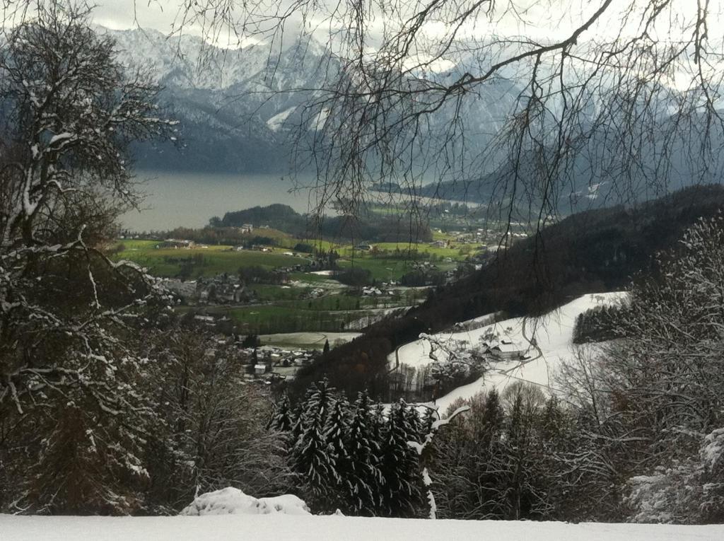 Apartment Parkvilla Traunsee Altmünster Exteriör bild